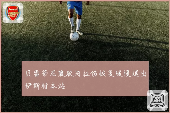 贝雷蒂尼腹股沟拉伤恢复缓慢退出伊斯特本站
